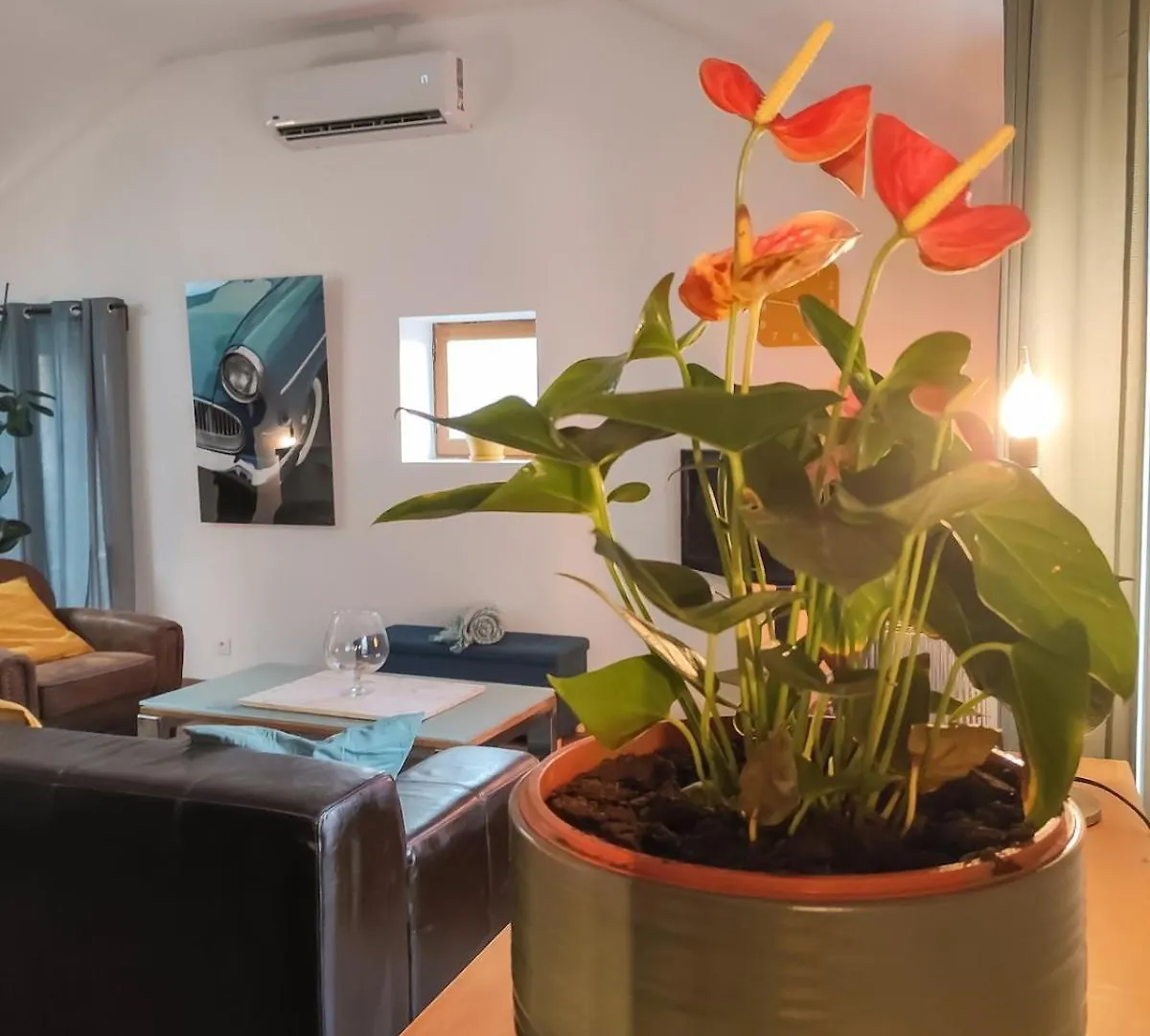 Jungalow - Tidordognehomes Souillac Appartement